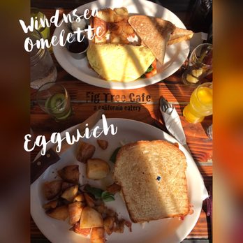 Fig Tree Cafe - Windnsea Omelet (top) and Eggwich (bottom). Tasted soooo fresh and delicious! - Breakfast & Brunch Near Me - San Diego, California Fig Tree Cafe - Windnsea Omelet (top) and Eggwich (bottom). Tasted soooo fresh and delicious! - Breakfast & Brunch Near Me - San Diego, California