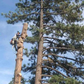 A Noble Tree Company - Tree Services Near Me - Mobile, Alabama