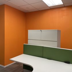 All Pro Finishes - Bright Colored Office Walls