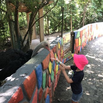 Zoologico De Vallarta - Zoos Near Me - Boca de Mixmaloya, JAL