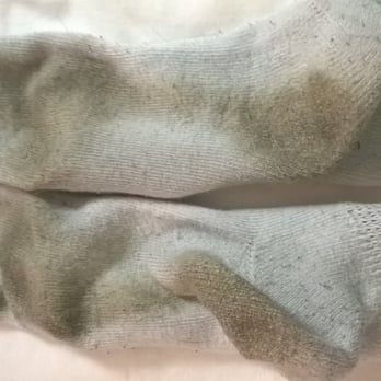 Motel 6 - Brand new socks after 10-min on a wood floor... yikes! Wash your floors! - Hotels Near Me - Norfolk, Virginia Motel 6 - Brand new socks after 10-min on a wood floor... yikes! Wash your floors! - Hotels Near Me - Norfolk, Virginia