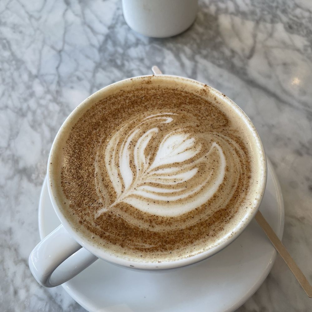 The Scene - Coffee & Tea Near Me - Albany, New York The Scene - Coffee & Tea Near Me - Albany, New York