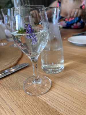 GUT EDERMANN by null