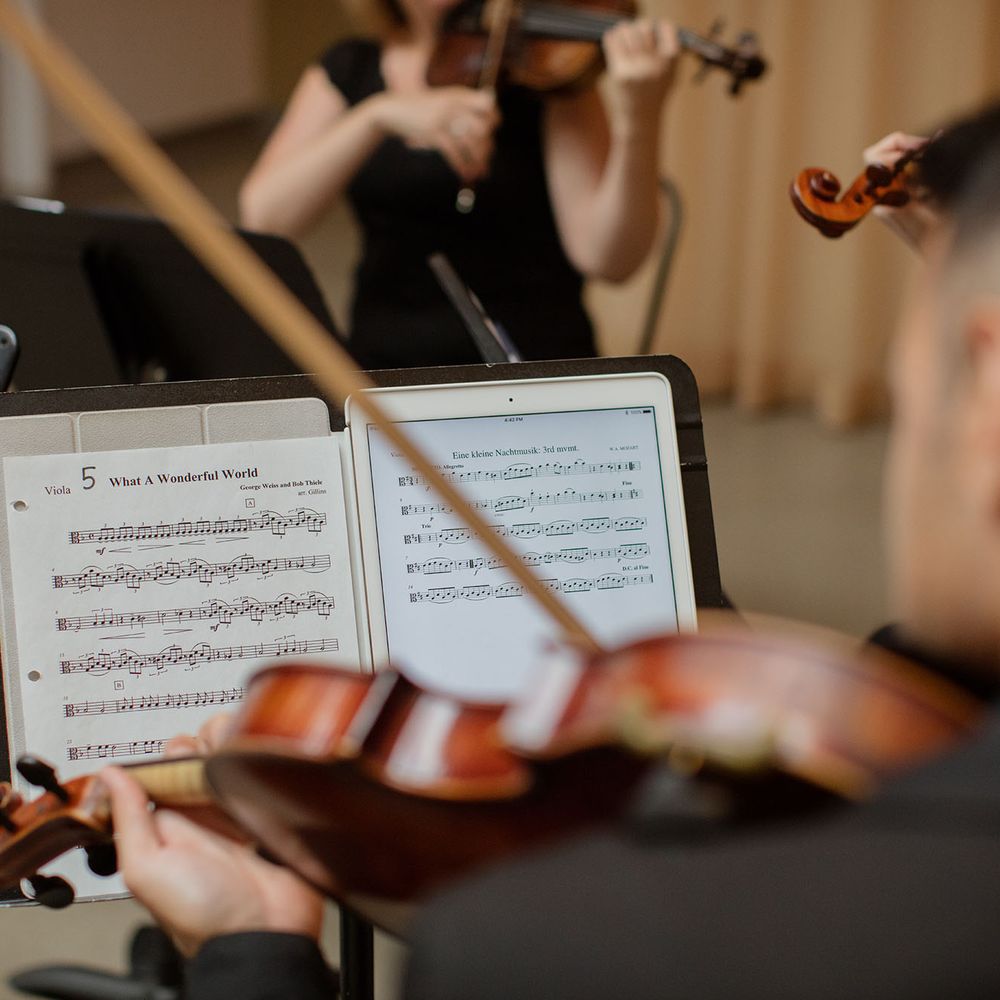 Cloud Gate String Quartet - Musicians Near Me Cloud Gate String Quartet - Musicians Near Me