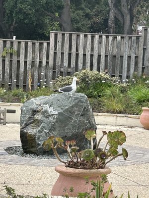 Monterey State Historic Park by null