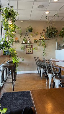 Alfonso's Pizzeria by null