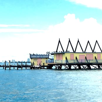 Ocean Force Adventures - Ocean Force Adventures tour with Matt July 2016 - Boat Tours Near Me - Miami Beach, Florida Ocean Force Adventures - Ocean Force Adventures tour with Matt July 2016 - Boat Tours Near Me - Miami Beach, Florida