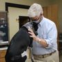 Fort Payne Animal Hospital
