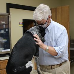 Fort Payne Animal Hospital
