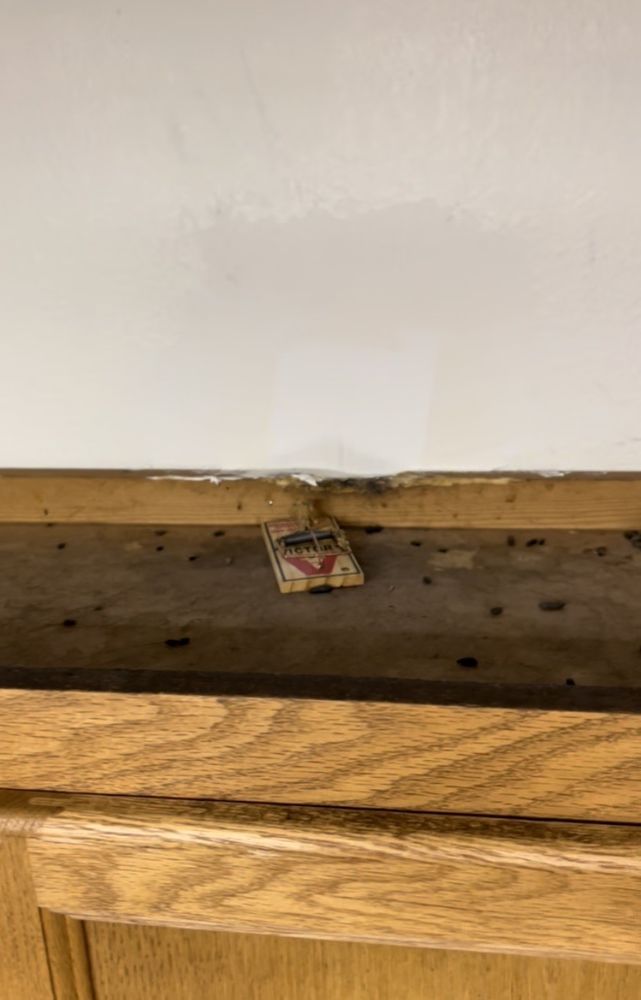 PHEASANT PARK APARTMENTS Updated August 2024 15 Photos 475