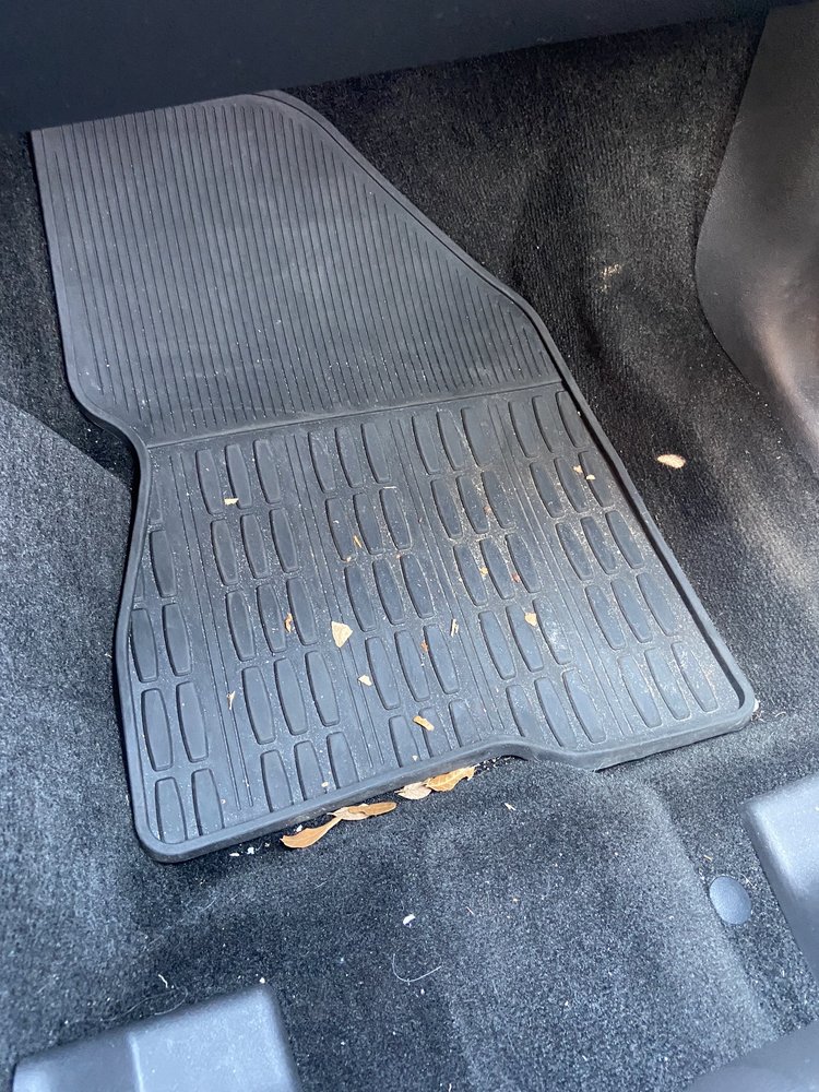 RIVER CITY AUTO DETAILING Updated September 2024 30 Photos