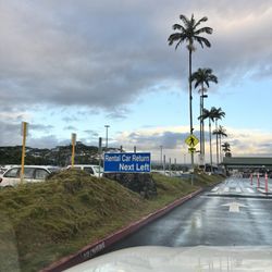 Avis Rent A Car