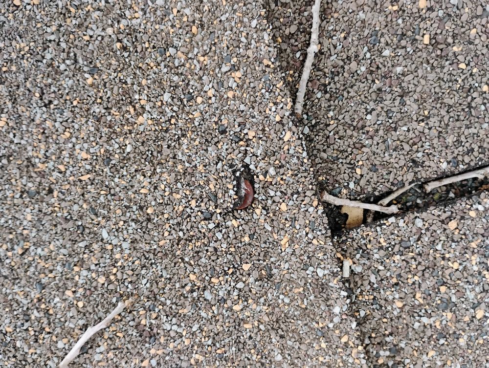 Slide of Northeast Home Services