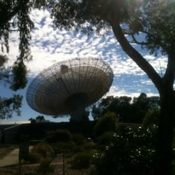 Dish Cafe - The Dish