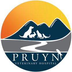 Pruyn Veterinary Hospital