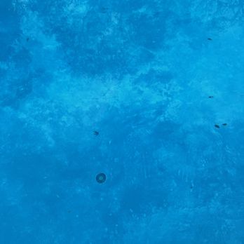 Norcal Pools - Pool Cleaners Near Me - Rocklin, California Norcal Pools - Pool Cleaners Near Me - Rocklin, California