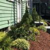 SB Landscaping gift card
