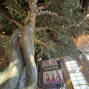 Eclipse di Luna - Alpharetta - Breathtaking POV of tree from dining table. - Wine Bars Near Me - Alpharetta, Georgia
