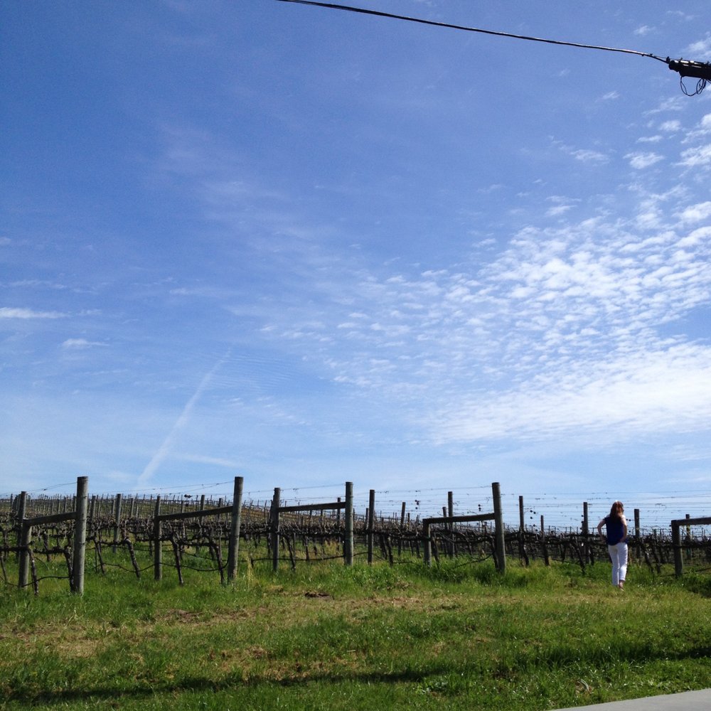 Cuvaison - Wineries Near Me - Napa, California Cuvaison - Wineries Near Me - Napa, California