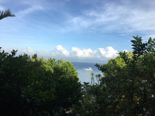 The Blue Orchid Resort by null