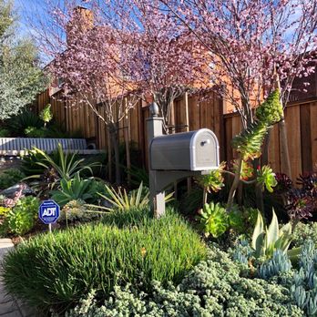 Farallon Gardens - This is how much the garden has grown since being installed about 3 years ago. It is lush and magical - Landscaping Near Me