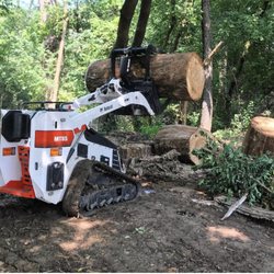 yellowstone Tree Service - https://www.adolfostreeservice.com/tree-trimming-houston.html