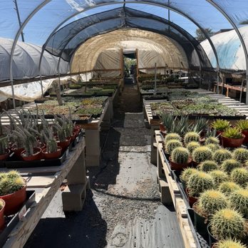 11:1 Succulent Nursery - Nurseries & Gardening Near Me - Whittier, California