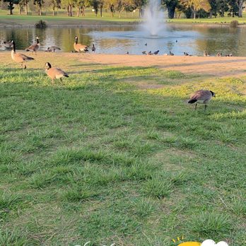 Almansor Park - So beautiful! - Parks Near Me - Alhambra, California Almansor Park - So beautiful! - Parks Near Me - Alhambra, California