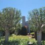 Photo of Carlos Ceron Gardening Services