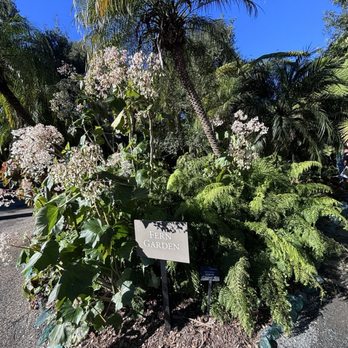Lotusland - Botanical Gardens Near Me - Santa Barbara, California Lotusland - Botanical Gardens Near Me - Santa Barbara, California