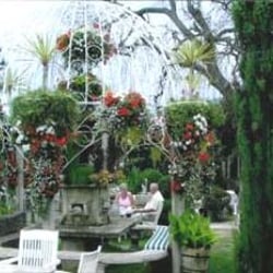 Willow Tree Tea Gardens