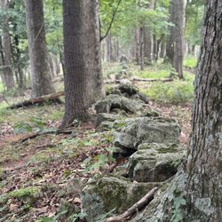 Old rock wall at the top of a ridge.