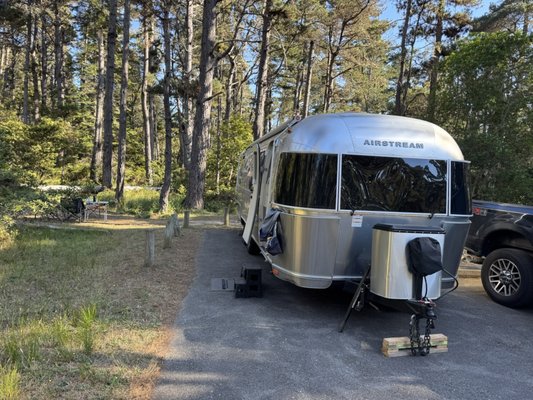 Salt Point State Park by null