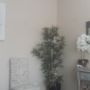 Photo of Fresh Lemongrass Massage