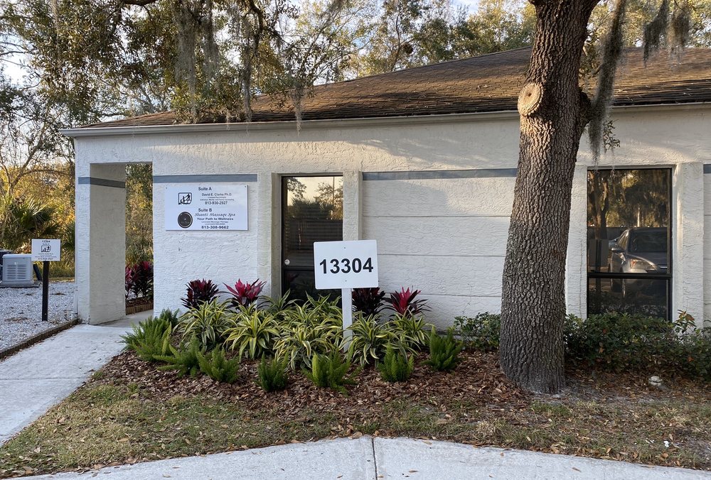 David E Clarke, Ph D - child therapist in Tampa, FL
