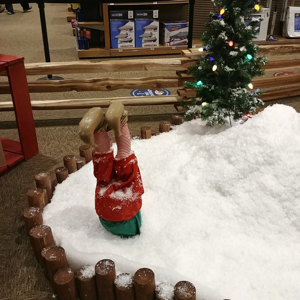 Cabela's - This lil guy needs help! - Guns & Ammo Near Me - Verdi, Nevada Cabela's - This lil guy needs help! - Guns & Ammo Near Me - Verdi, Nevada