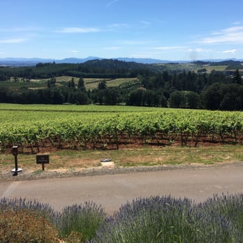Willamette Valley Vineyards - Wineries Near Me - Turner, Oregon Willamette Valley Vineyards - Wineries Near Me - Turner, Oregon