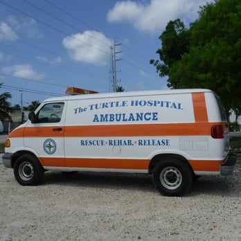 The Turtle Hospital - Call the ambulance!! - Veterinarians Near Me - Marathon, Florida
