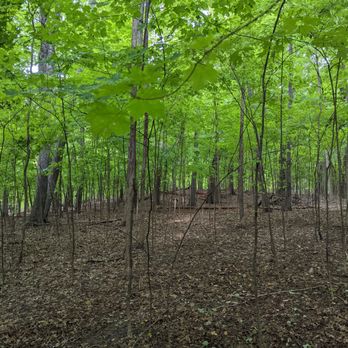 Heritage Park - New growth - Parks Near Me - Farmington Hills, Michigan