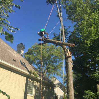 JT Tree Service - Roping down final pieces of a large tree that fell on a home during a storm - Tree Services Near Me - Indianapolis, Indiana