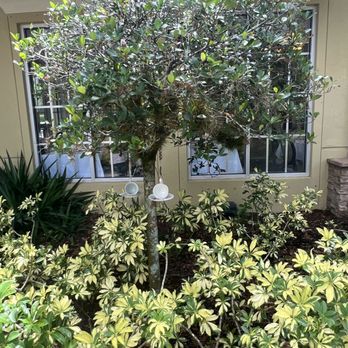 Queens TeaHouse - Outside - Tea Rooms Near Me - Parkland, Florida