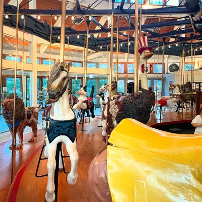 Coolidge Carousel by null