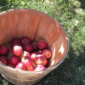 TWO ROCK RANCH - Updated January 2026 - 17 Photos - 1051 Walker Rd ...