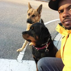 Follow My Lead Dog Training