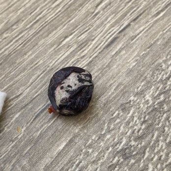 Shorehouse Kitchen - Moldy Blueberry - Coffee & Tea Near Me - La Jolla, California