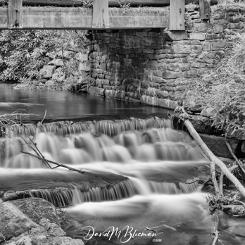Positive Negatives Photography - Session Photography Near Me - Annapolis, Maryland Positive Negatives Photography - Session Photography Near Me - Annapolis, Maryland