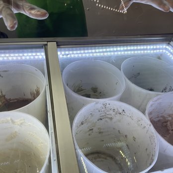 Eighty7sweets Vegan Ice Cream - Various ice creams - Ice Cream & Frozen Yogurt Near Me - Atlanta, Georgia Eighty7sweets Vegan Ice Cream - Various ice creams - Ice Cream & Frozen Yogurt Near Me - Atlanta, Georgia