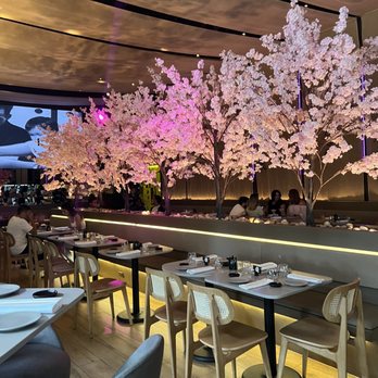 Paperfish Sushi - Inside - Sushi Bars Near Me - Miami, Florida