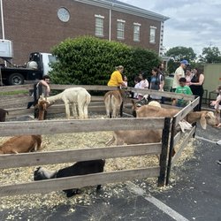 Lexington Public Library - Tates Creek Branch - Summer kick off event at the library