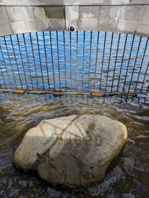 Plymouth Rock by null